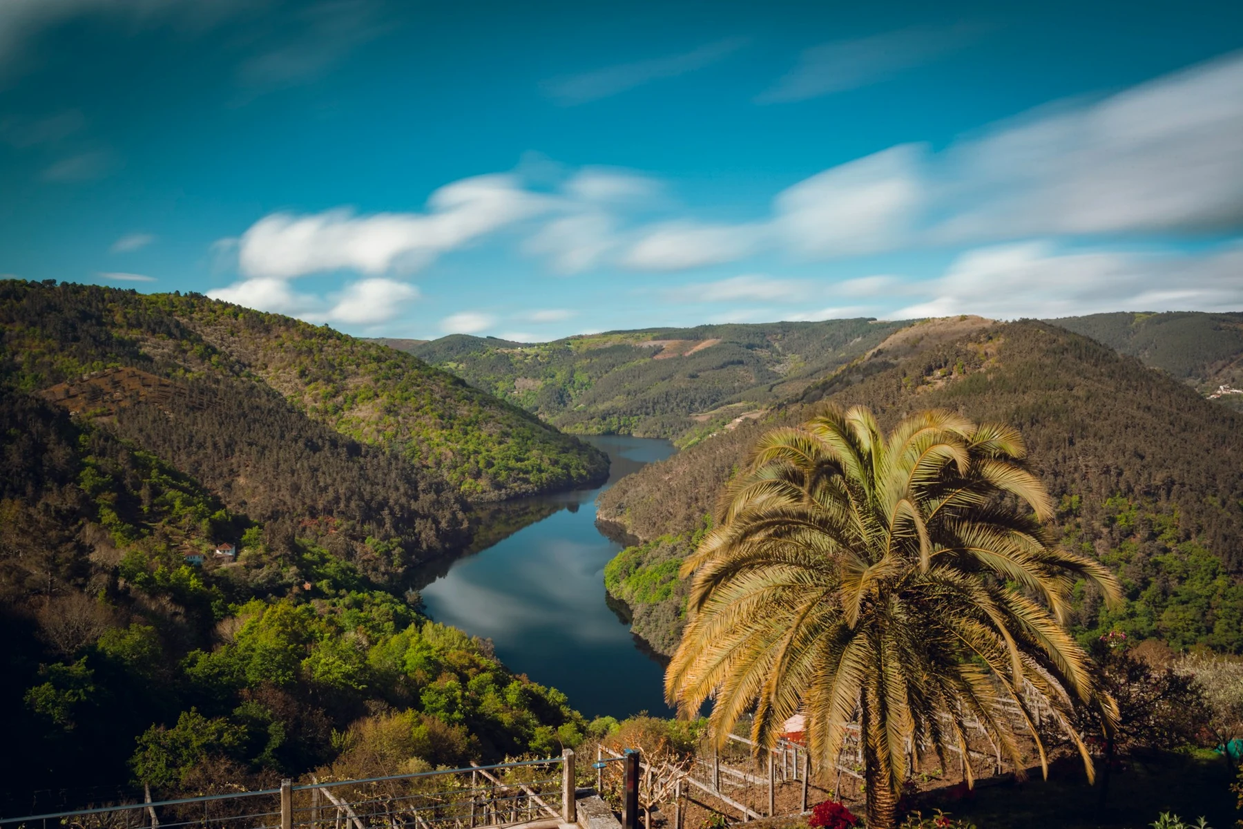 🍷 Ribeira Sacra: El secreto mejor guardado de Galicia para desconectar de todo