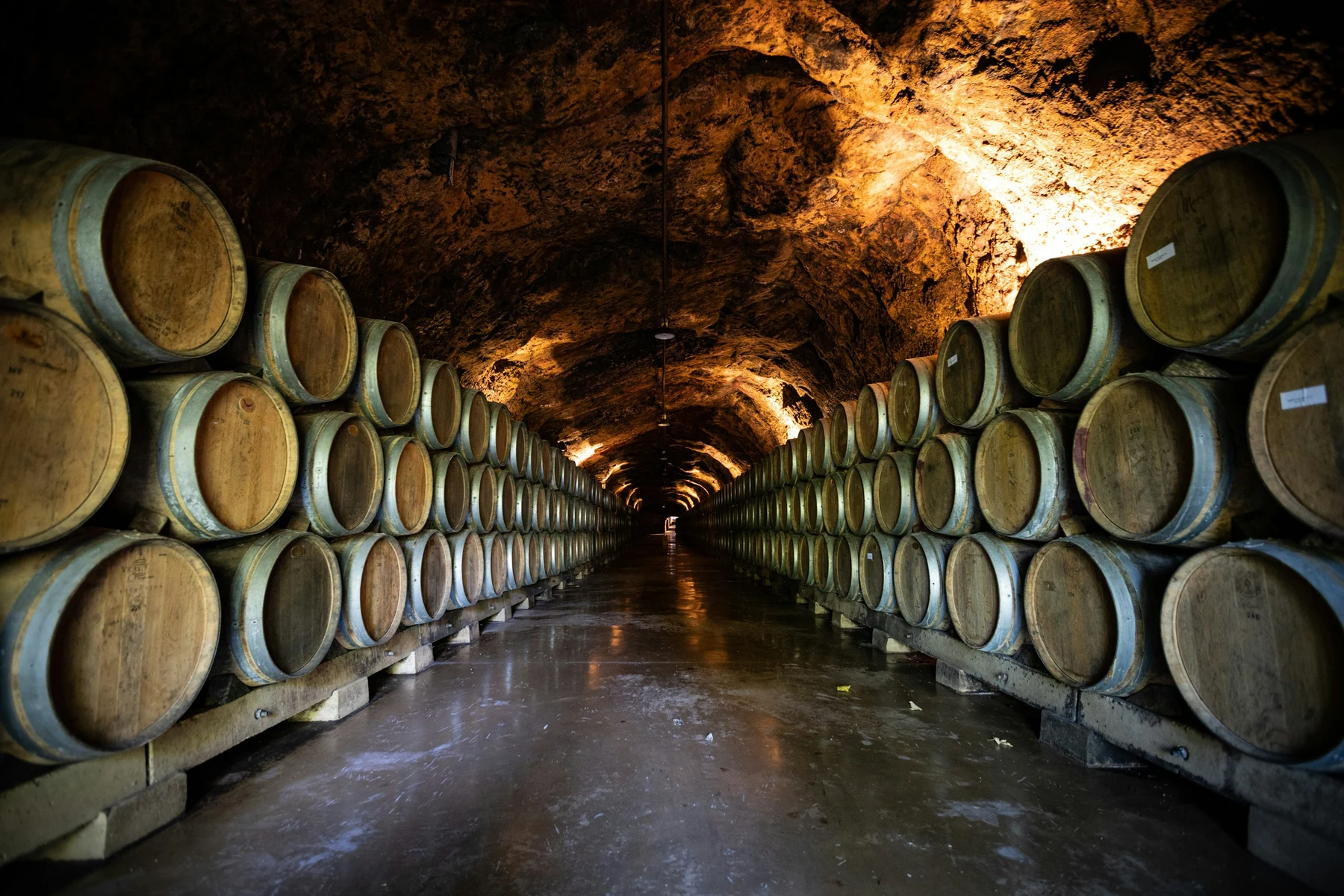 🍇🍷 ¡Ruta del Vino Rioja al volante! Escapada de 5 días a tu aire 🚗