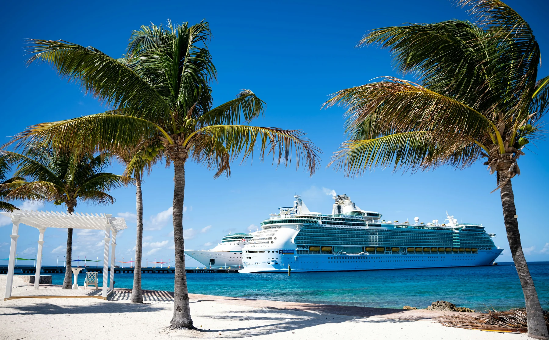 🌍 ¡El viaje de los viajes! Da la vuelta al mundo en crucero y haz tu gran sueño realidad 🚢