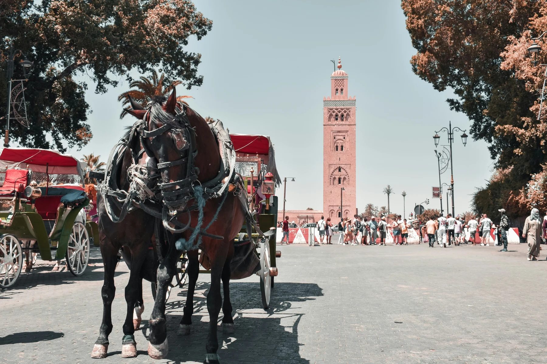 🕌 ¡Ruta Imperial! Circuito clásico por Marruecos de 8 días 🐪