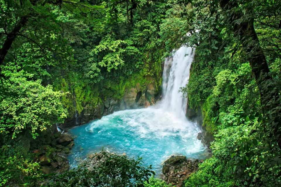 🇨🇷🐒 ¡El viaje de tu vida! Descubre Costa Rica a tu aire durante 11 días 🚗