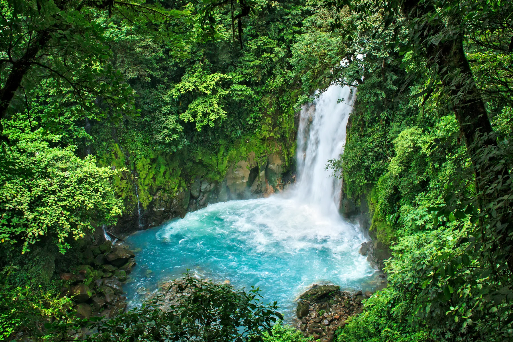 🇨🇷🐒 ¡El viaje de tu vida! Descubre Costa Rica a tu aire durante 11 días 🚗