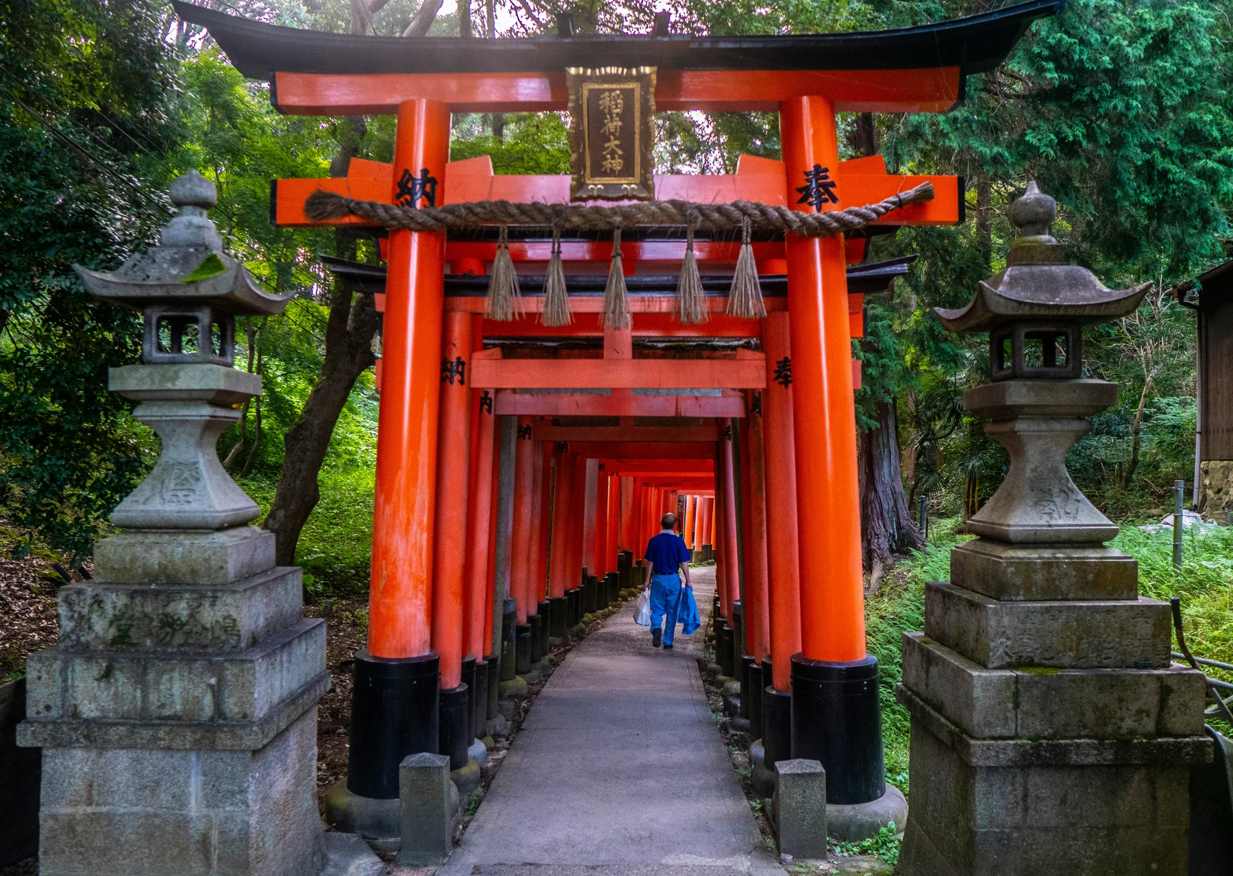 ⛩️ ¡El viaje de tu vida a JAPÓN! Descubre Osaka, Kioto y Tokio